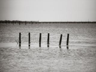 Appartement proche Thermes, animaux acceptés - FR-1-503-18 - 4