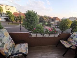 Old Town Apartment 2 bedrooms, 1 living - Baia Mare - 4