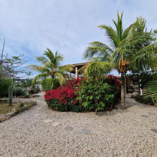 Nos Soño Stay and Dive - 7