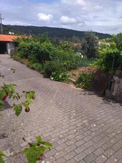 Cantinho Verde - Sertã - 7