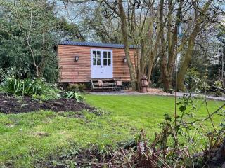 Tranquil Spot Shepherds Hut - Cinderford - 5