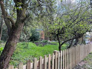Tranquil Spot Shepherds Hut - Cinderford - 4