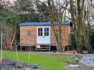 Tranquil Spot Shepherds Hut - Cinderford - 1