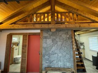 La cabane de dany - La Bresse - 1
