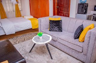 Belaire BnB Ruaka 1 - Nairobi - 8