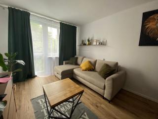 Sienkiewicza apartament MULTI HOUSE - Rzeszów - 8