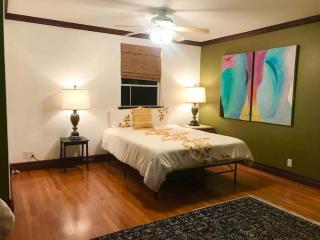 Hawaii Tropical Volcano mansion + Sauna - 1