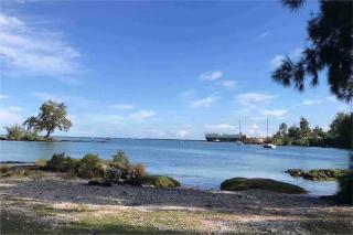 Hawaii Tropical Volcano mansion + Sauna - Hilo - 6