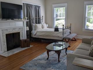 Spacious 2br In Grand Old Home, Downtown Durham - Durham - 9