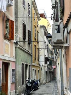 Apartments Mora Cantada - Piran - 7