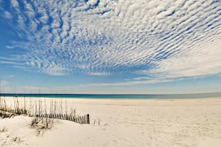 Seahorse 622 - Gulf Shores - 2