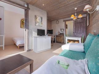 Chalet rénové 2 pièces avec Wifi à Avoriaz - FR-1-314-151 - 7