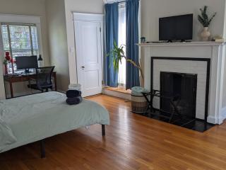 Sunny Efficiency In Historic Home - Durham - 9