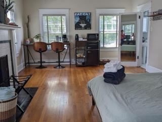 Sunny Efficiency In Historic Home - Durham - 8