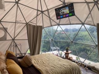 Poas Volcano Observatory Lodge & Glamping - Poasito - 5