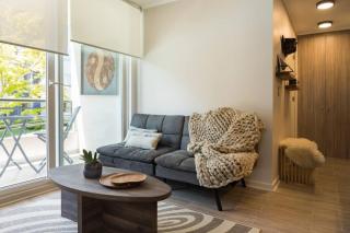 PUCON depto NUEVO! DOS DORMITORIOS DOS BAÑOS, en condominio con estacionamiento,balcon, super equipado, WIFI Y CABLE, PISCINA CON JARDINES, ZONA TRANQUILA A SOLO 5 MINUTOS DEL CENTRO EN AUTO - Pucón - 8