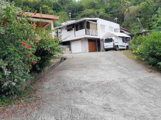 La Fée amazonienne - 7