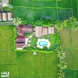 Tetebatu Flush Harmony - Tetebatu - 1