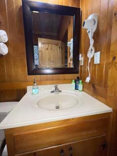 Cozy Cabin: River View with Hot Tub - 4