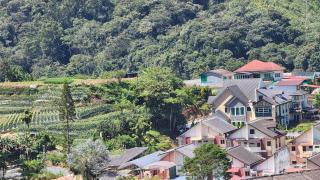 The Gladiator Homstay - 8