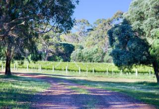 Tintagel Estate I Private Properties - Forest Grove - 9