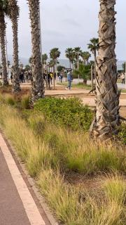 Kornich - Nador - 5