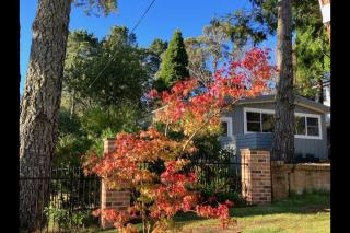 Sunflower House, a cozy cabin at Lake Wentworth - Wentworth Falls - 0