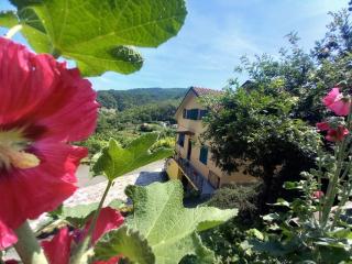 La valle fiorita - Soviore - 0