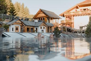 Natur- und Wellnesshotel Höflehner - Haus im Ennstal - 3