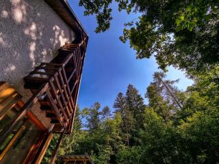Jakob Cabin - 5