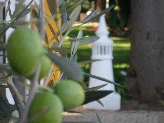 Quinta Paraiso da Mia-Tastefully decorated T1 - Luz - 8