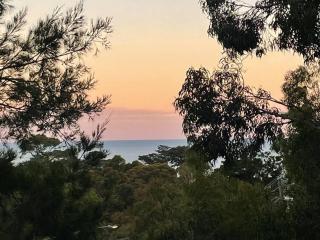 Seaview Treehouse - three minute walk to the beach - Lorne - 9