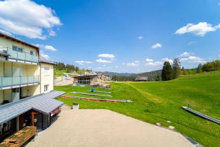 Auerhuhn - Feldberg - 5