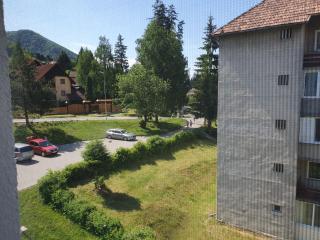 Apartamente La 2-3 Ursuleti - Băile Tuşnad - 0