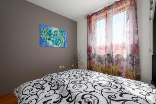 Apartment near the town center Aja - 1