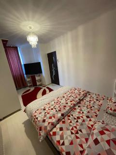 Zya Home Central - Oradea - 7