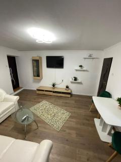 Zya Home Central - Oradea - 5