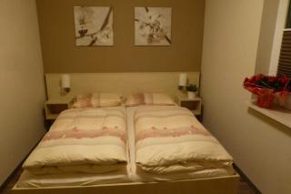Küstenwald - Ferienwohnung Nordwind - Müritz - 3