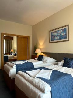 Hotel Theresia - Kolín - 8