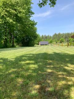 Leśne zacisze-pole namiotowe - 5