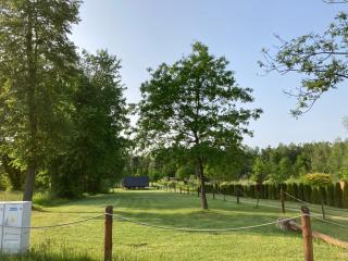 Leśne zacisze-pole namiotowe - 6