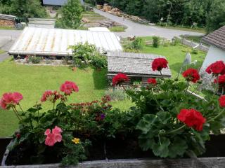 Ferienwohnung Sapatho - 4