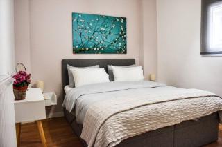Newly renovated-City Center Apartment - Atene - 5