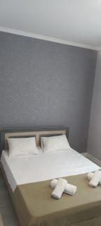 Gabala rent House - 3