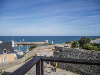 Appartement centre avec terrasse vue sur mer, animaux acceptés - FR-1-418-156 - 0