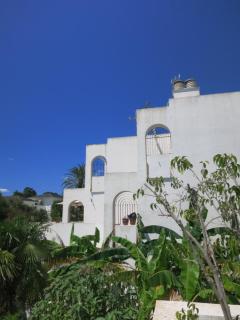 Sotogrande Duplex near Polo, best pool view, 2 pools, full south, 7 drive to beaches and Port - Sotogrande - 4