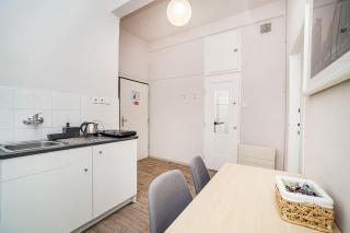 Apartment in Zizkov -203- - Prague - 8