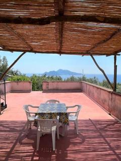 Farm seaview on Capri - Termini - 1