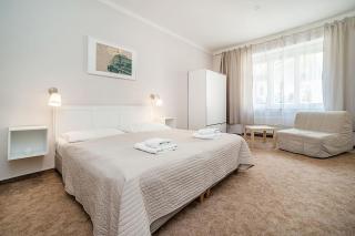 Flat in Zizkov -204- - Praga - 0
