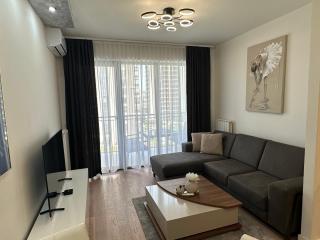 THE GATES 410 a - Belgrado - 1